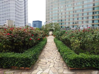 ホテルニューオータニ東京 Red Rose Garden